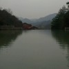 广西网友67066