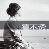台湾网友12724