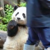 江苏网友46450