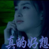 甘肃网友45627