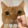 吉林网友66009