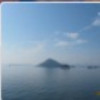 广东网友49100