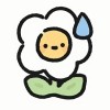 山东网友64402