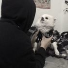 QQ头像