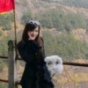 国风8花