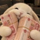 QQ头像