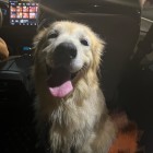 QQ头像
