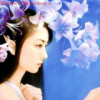 辽宁网友59237