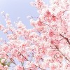 山西网友61928