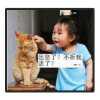 浙江网友36500