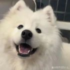 QQ头像