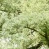 WYHHH的头像-无忧免费游戏网