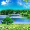 内蒙古网友48455
