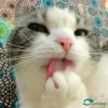 甘肃网友73630