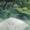 四川网友32463