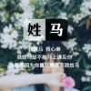 山东网友37401