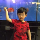 QQ头像