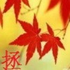 QQ头像