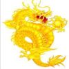 江苏网友16159