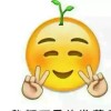 云南网友98580