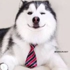 QQ头像