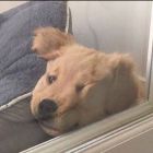 QQ头像