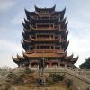 广东网友91116