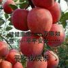 天津网友81321