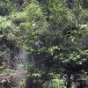 辽宁网友16052