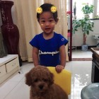 QQ头像