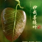 QQ头像