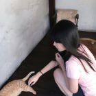 QQ头像