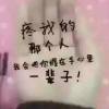 海南网友22160