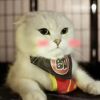 炫酷丽j云k
