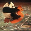 评论头像