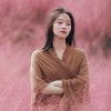 河北网友88576
