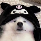 QQ头像