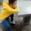 大9野大界草