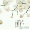 甘肃网友48738