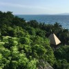 台湾网友81036