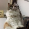 启程