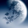 富大草h