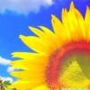 网友昵称：zblog企业模板