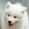 陕西网友11203