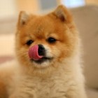 QQ头像