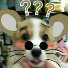 QQ头像