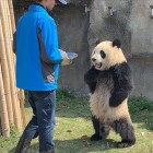 QQ头像