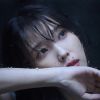 山东网友95304