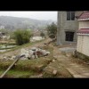 福建网友49976