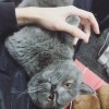 海南网友17000
